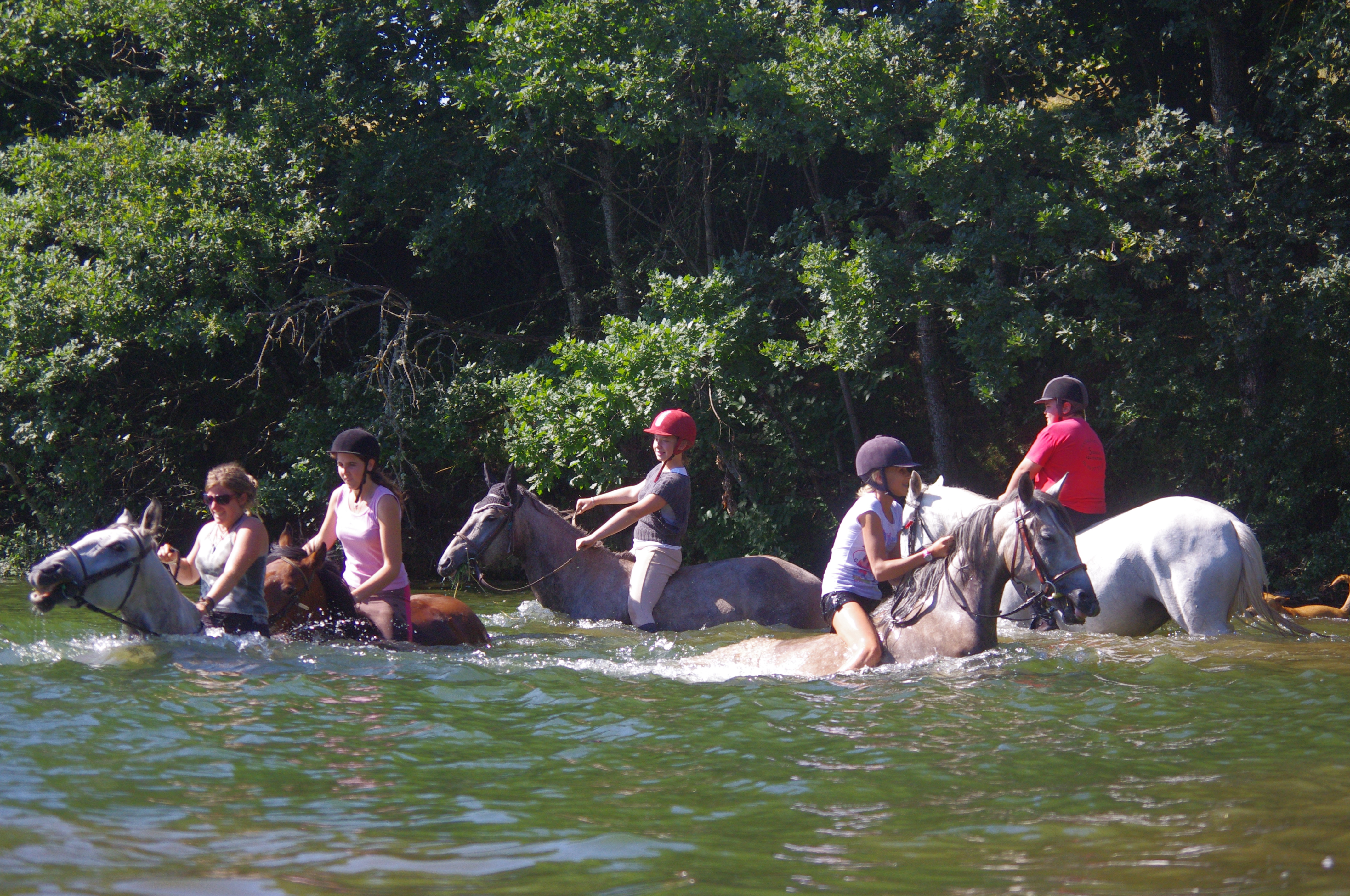 Baignade dans le lac